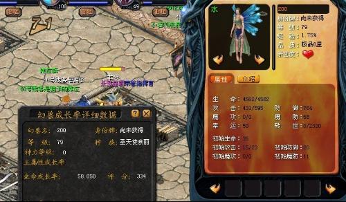 魔域私服跨服竞技宝宝配置攻略  第2张