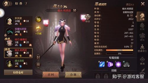 魔域sf：魔域私服手游圣经神伤自选攻略(打造神伤，圣经攻略，魔域私服指南)  第2张